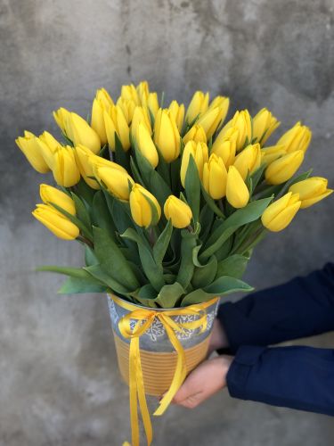 SUNNY YELLOW 