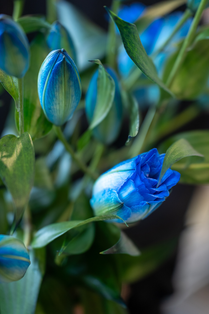 PEARL BLUE