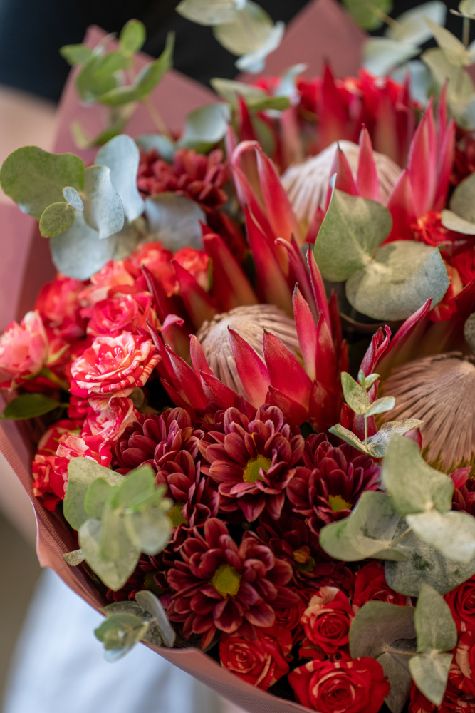 Осенняя коллекция цветов 2026 Wild Protea