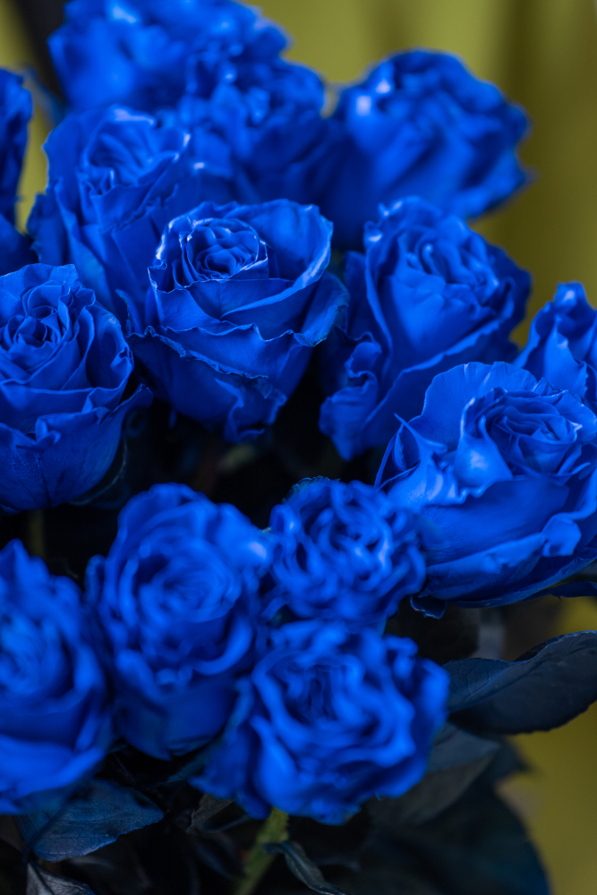 MONDIAL BLUE