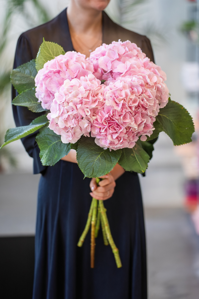 VERENA PINK 