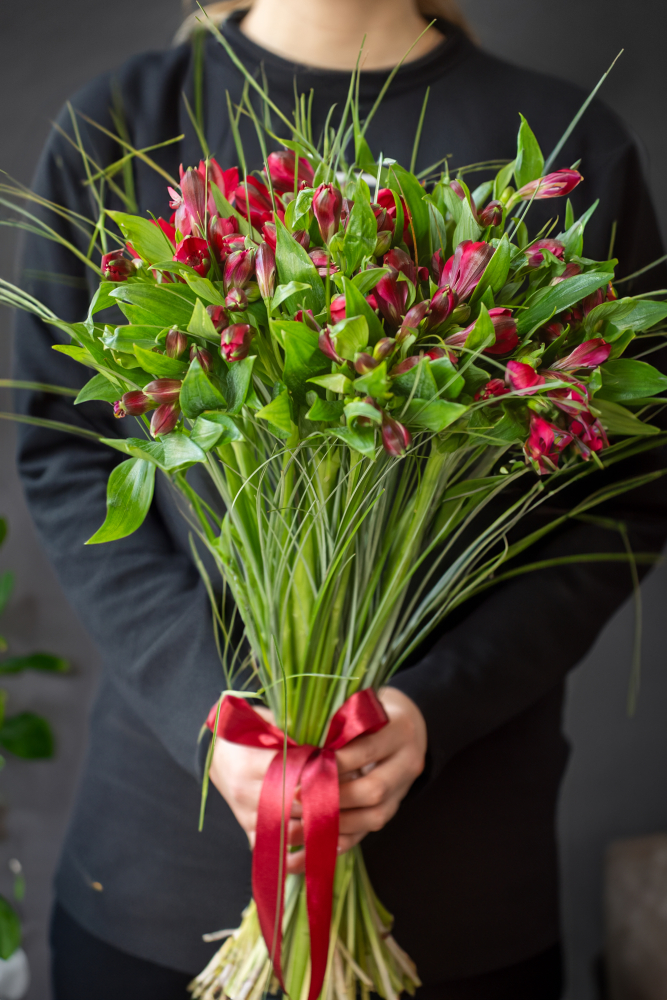 Cut flowers Alstromeria NOIZE