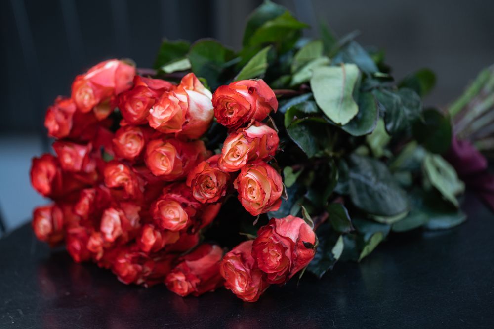 Эквадорские розы Rose FARFALLA