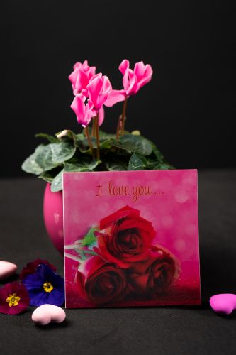 Открытка Roses
