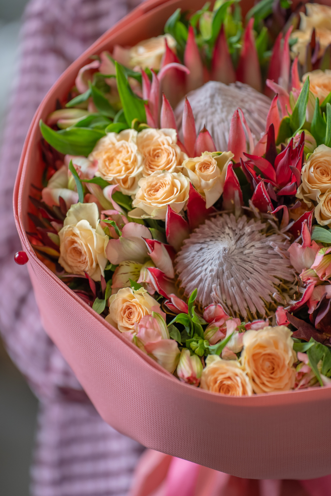 Autumn Flower Collection 2026 Peach Protea
