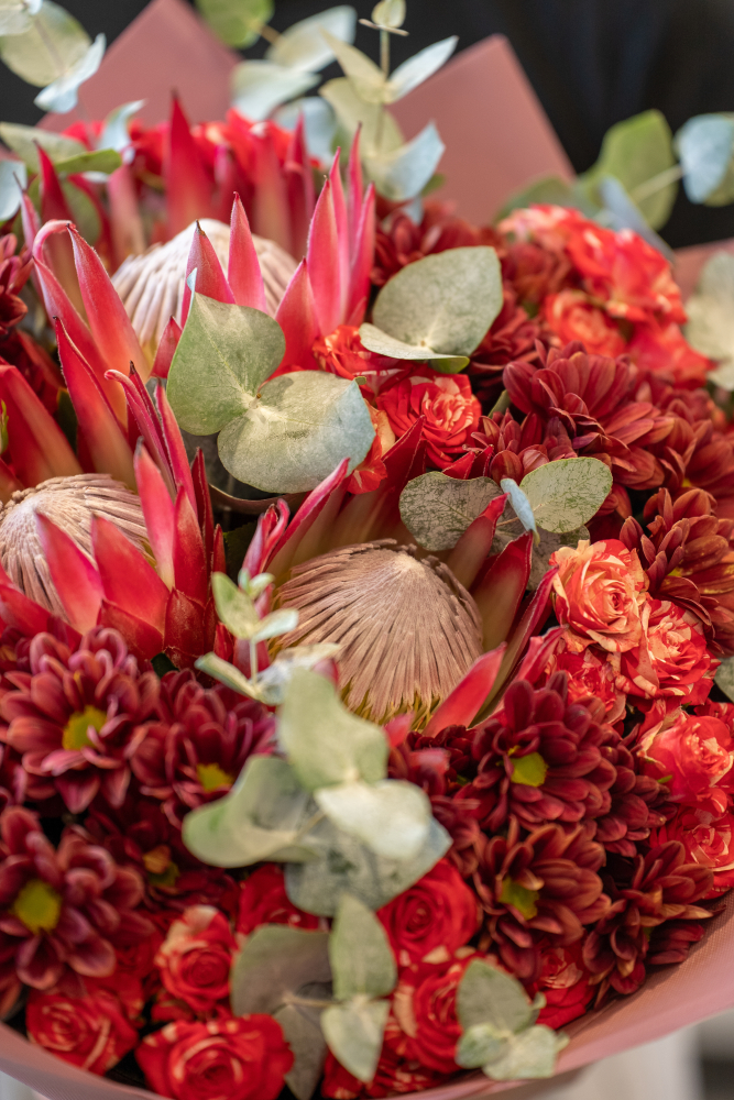 Осенняя коллекция цветов 2026 Wild Protea