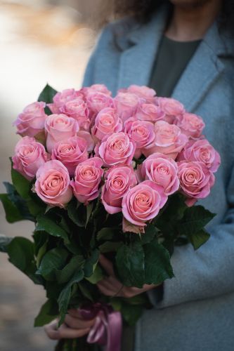 Ekvadoras rozes Rose HERMOSA