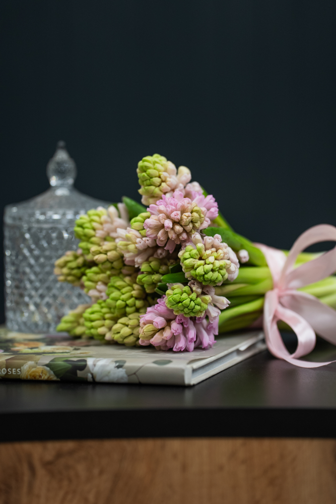 Cut flowers HIACINTHUS PINK