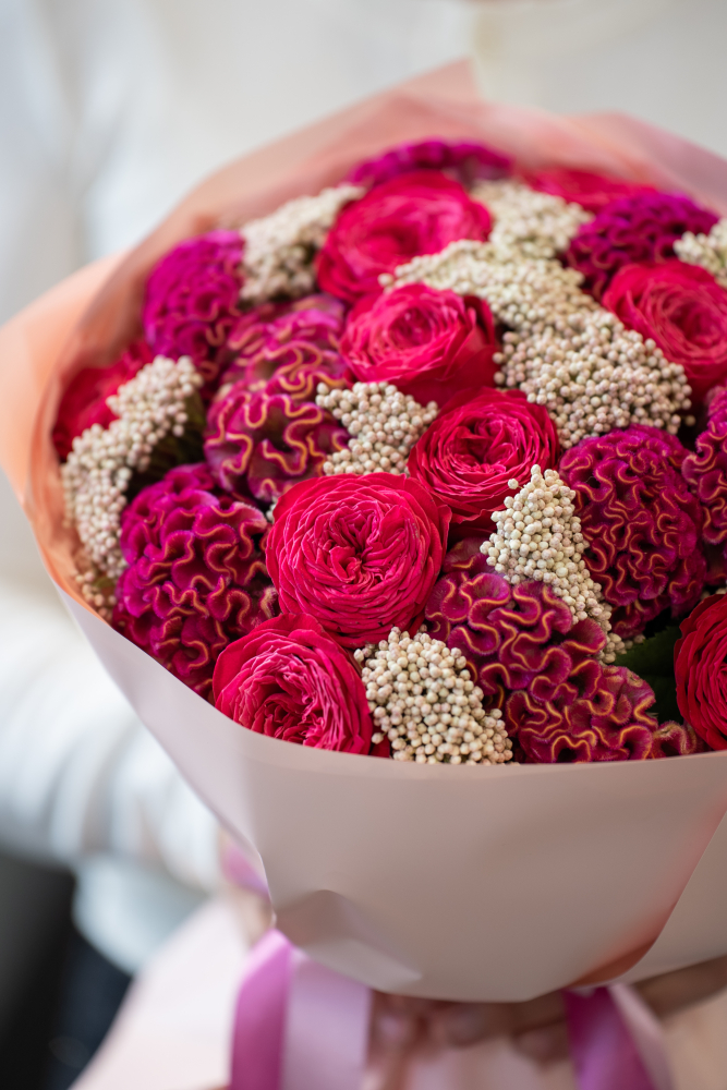 RASPBERRY  ROSE