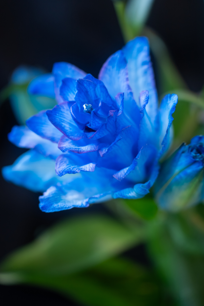 PEARL BLUE