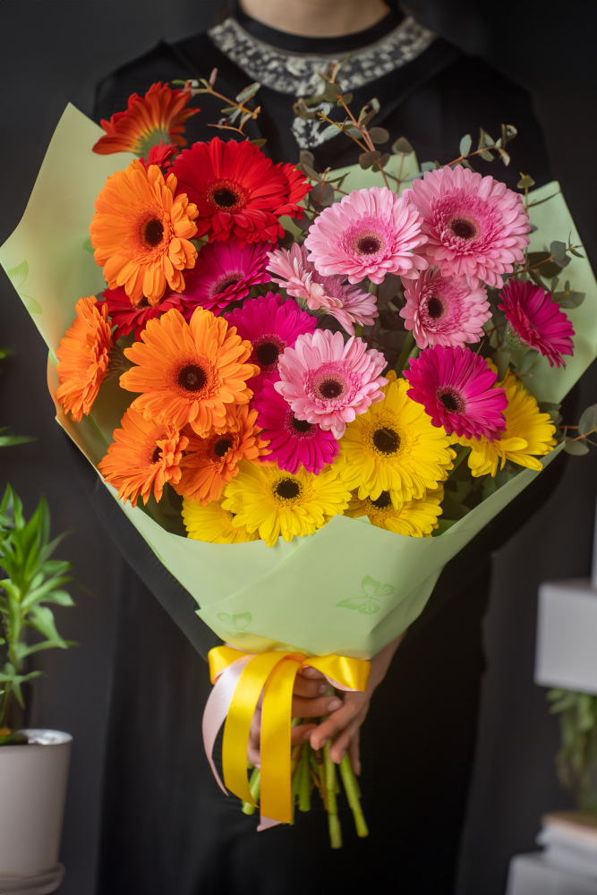 Cut flowers GERBERA MIX