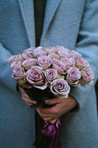 Ekvadoras rozes Rose AMNESIA