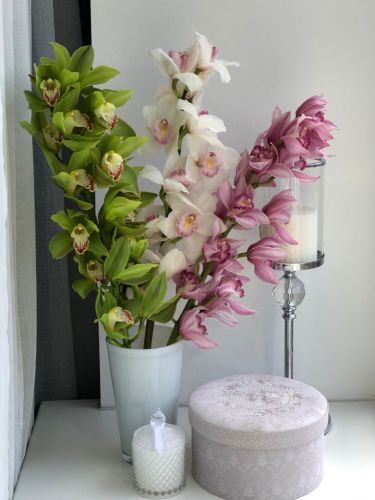 ORCHID MIX