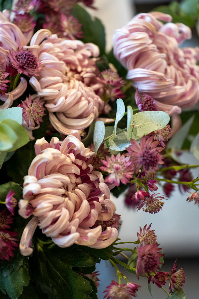 Осенняя коллекция цветов 2026 Dusty Lilac