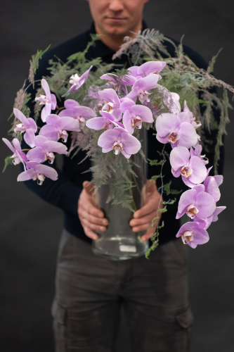 ORCHID MANILA
