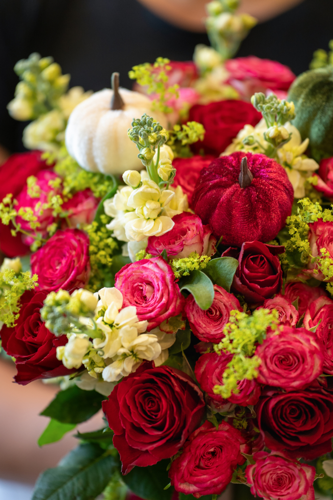 Осенняя коллекция цветов 2026 Ruby Pumpkin