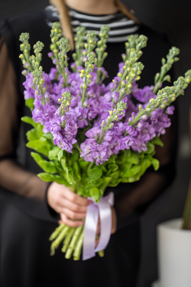 Cut flowers Lefkojas LAVANDER