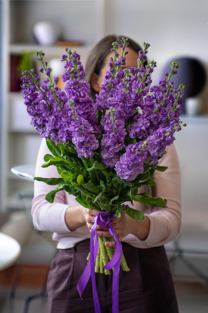 Cut flowers LEFKOJAS LAVANDER
