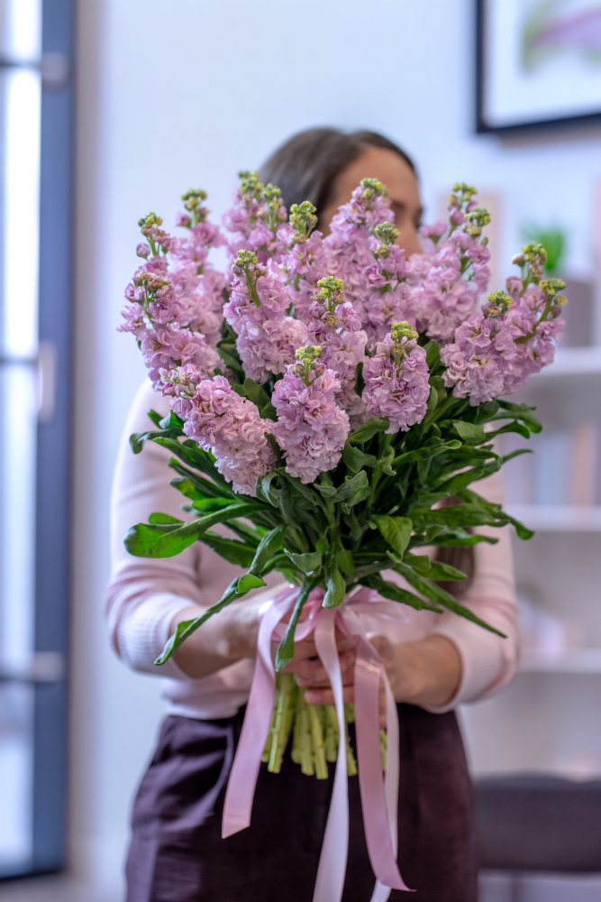 LEFKOJAS CHERRY BLOSSOM