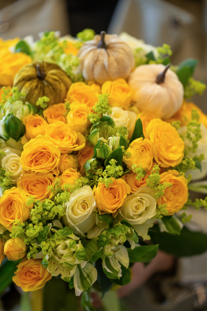 Осенняя коллекция цветов 2026 Lemon Pumpkin