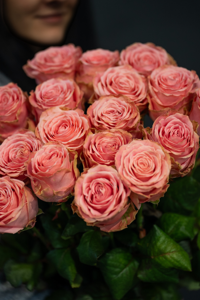 Bouquets of roses SOPHIA LOLREN